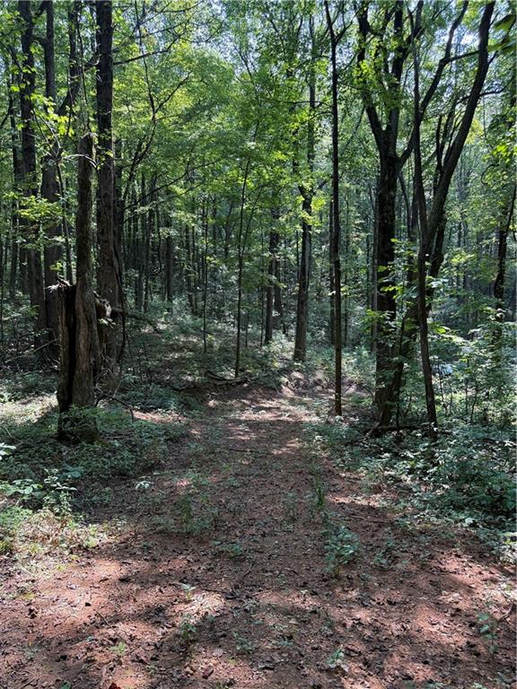 Discover 9.55 unrestricted acres on the highly sought-after Burnt Mountain! This beautiful tract offers a mix of mature hardwoods, abundant wildlife, and a seasonal mountain view, all wrapped in the fresh mountain air this area is known for. A path has already been partially cut in, and the land is mainly flat with only a gentle slope making it very easy to walk and envision your dream build. With a mailbox and property address already in place, it’s ready for your plans. The terrain provides an ideal spot to place a home, cabin, or retreat, while the surrounding privacy and natural beauty offer the perfect mountain escape and only 18mins from downtown historic Jasper. Unimproved yet full of potential, this rare property continues to grow in value. Don’t miss the chance to own a slice of Burnt Mountain at a great price and motivated seller!