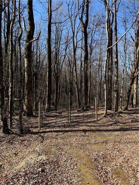 Vacant Land For Sale - 6180 Burnt Mountain Road<br/> Ellijay, GA 30536