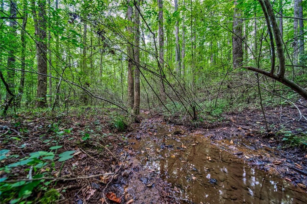 00 Borrow Pit Road, Douglasville, Georgia image 6