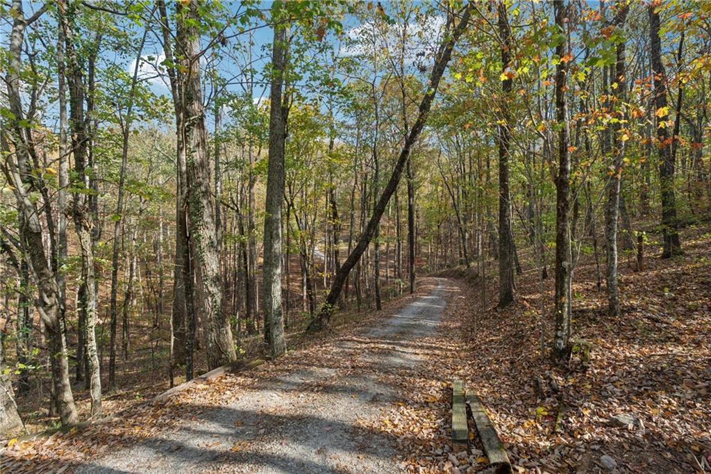 188 Ayers Rock Road, Jasper, Georgia image 43