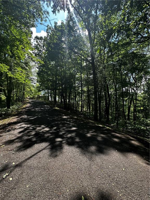 Lot 14 Oceola Drive, Ellijay, Georgia image 4