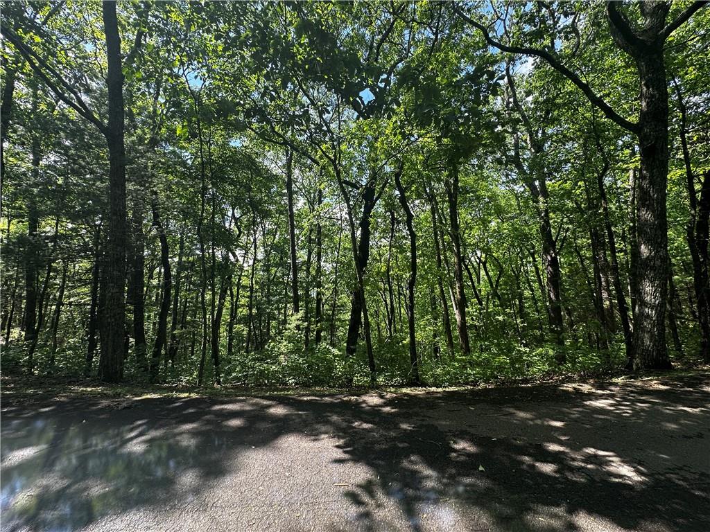 Lot 14 Oceola Drive, Ellijay, Georgia image 1