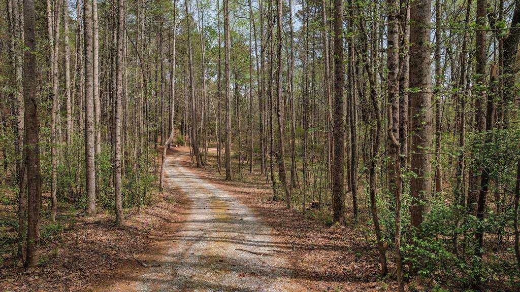 8000 Campbellton Redwine Road, Palmetto, Georgia image 1