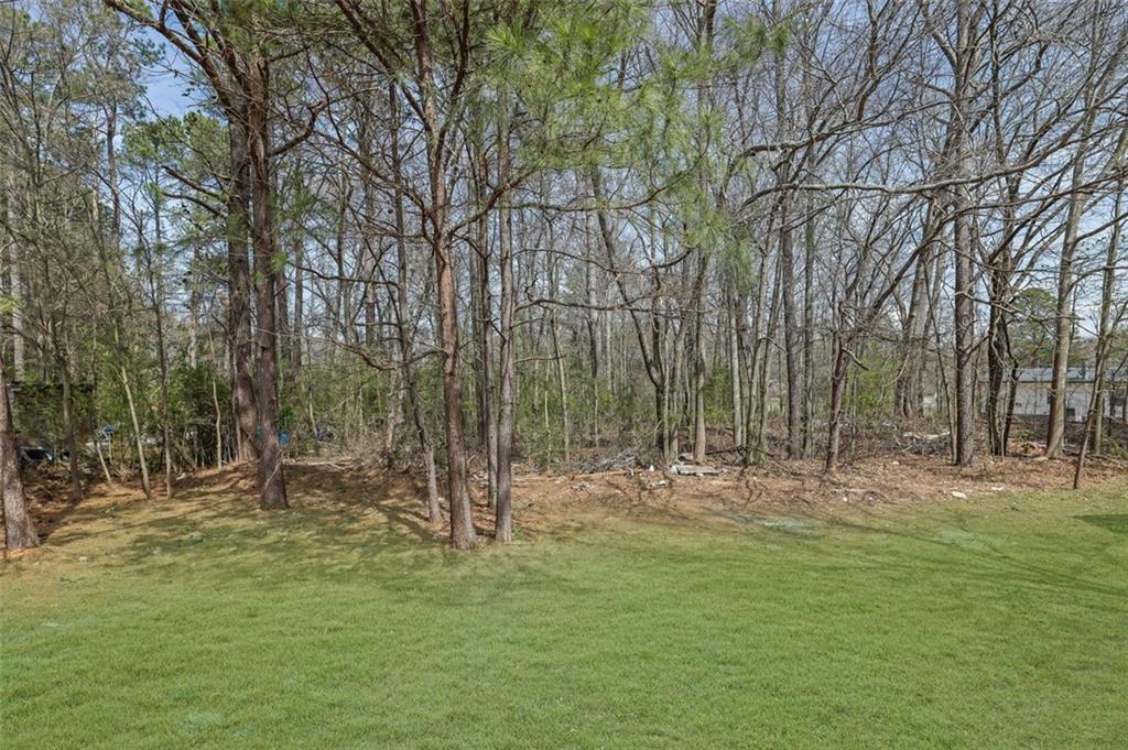 2030 Euclid Street, Statham, Georgia image 35