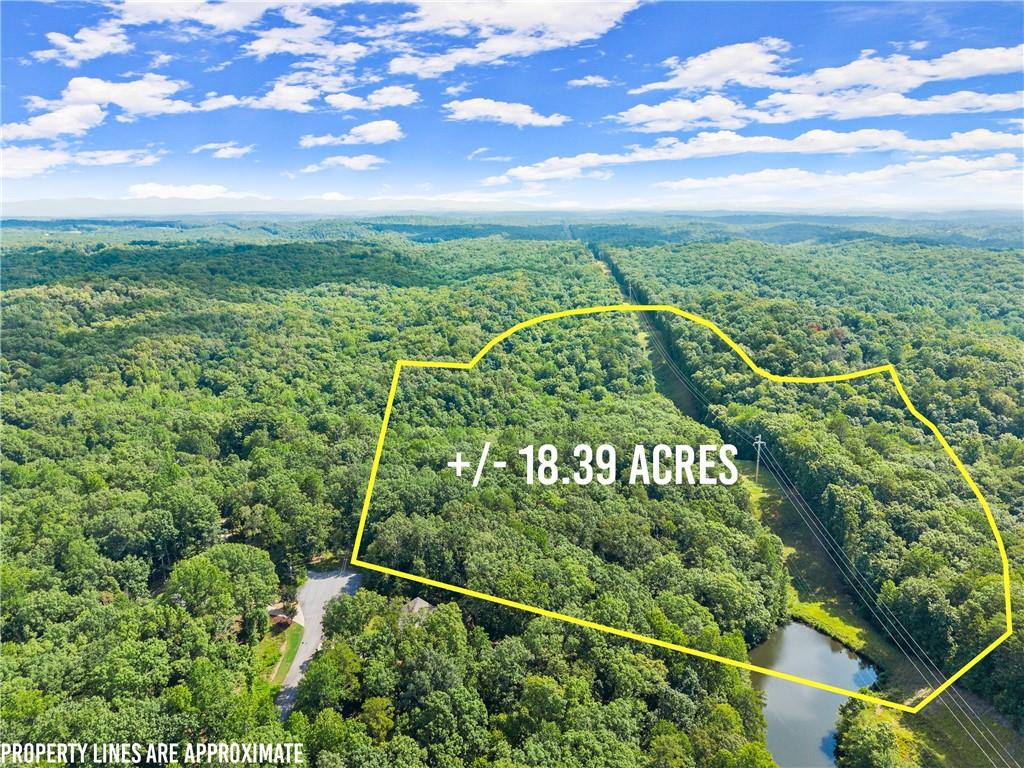 This breathtaking property features a fully stocked private lake with a dock, a flowing creek, natural rock formations, and scenic mountain views. Whether you're dreaming of the ultimate escape, a perfect forever home, or an investment opportunity, this property delivers to all. Ideal for builders, nature lovers, or anyone seeking a staycation paradise.