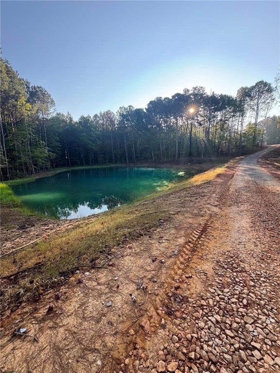 224 Holly Pond Path