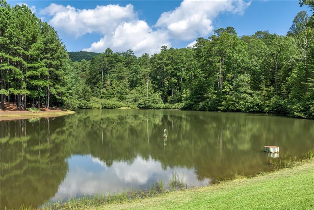 Golden Lane, Clarkesville, Georgia image 1