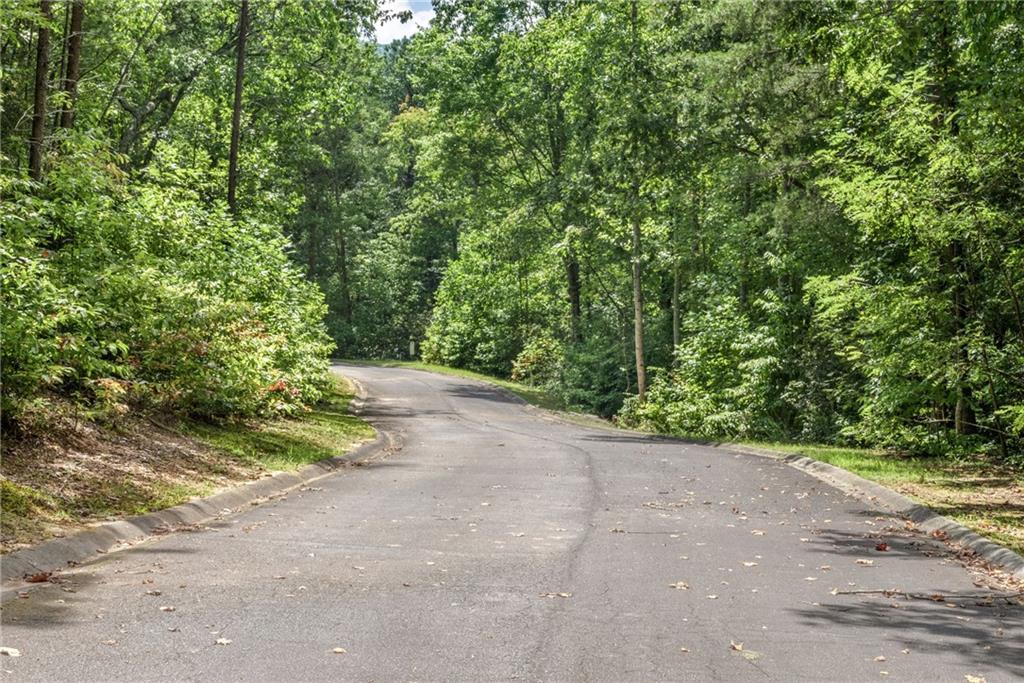 Golden Lane, Clarkesville, Georgia image 6