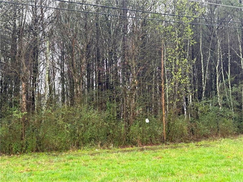 Looking for land you can build on then look no more this 7.5 acres minutes to 41, 411, 75 shopping, downtown Cartersville, Adiarsville, Lake Pointe Complex & Hospital. Property is on the corner of Rudy York Road and Mac Johnson.