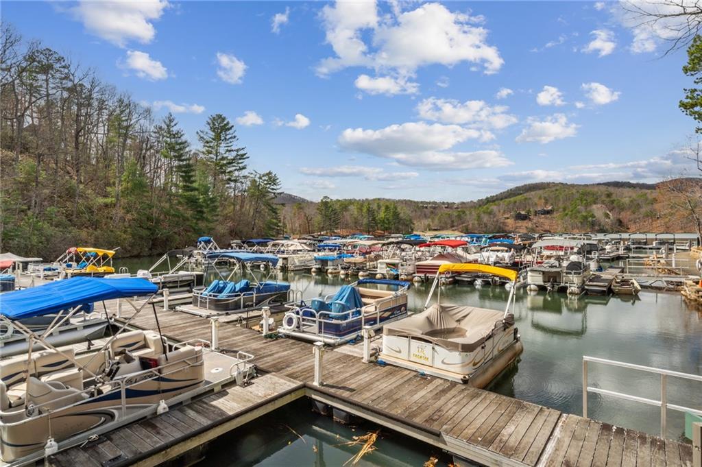 20 Trout Lily Trail, Jasper, Georgia image 35