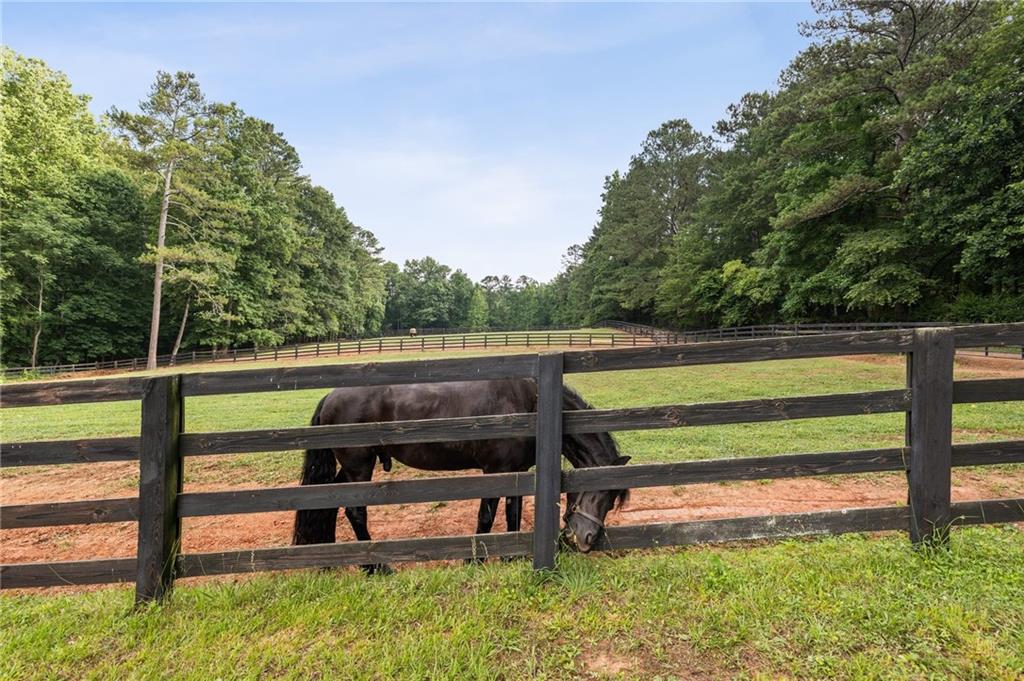 13835 Hopewell Road, Alpharetta, Georgia image 34