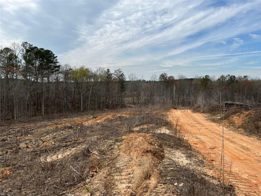 Liner Road, Tallapoosa, Georgia image 15