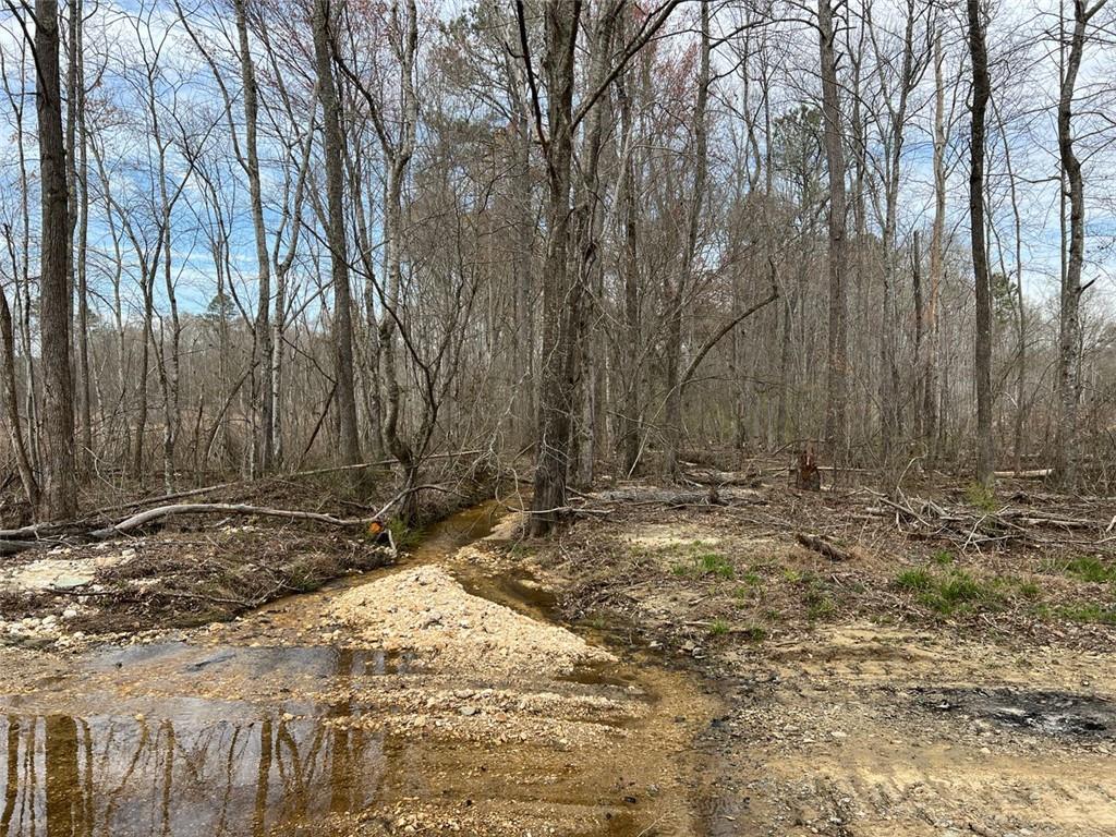 Liner Road, Tallapoosa, Georgia image 17