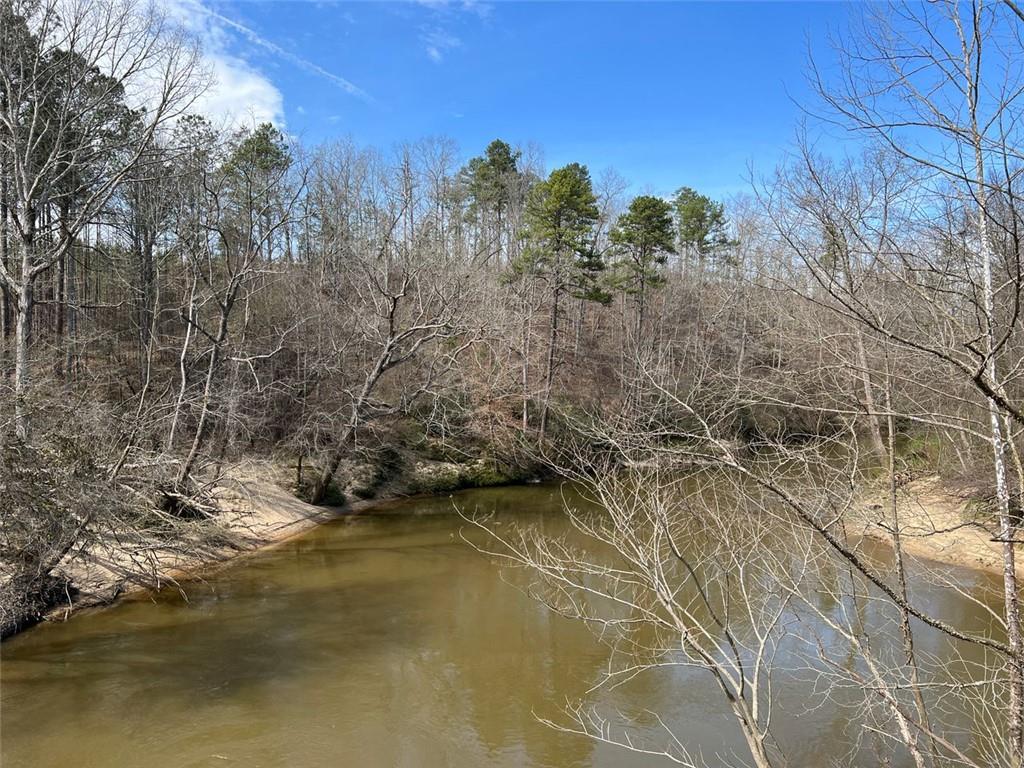 Liner Road, Tallapoosa, Georgia image 2