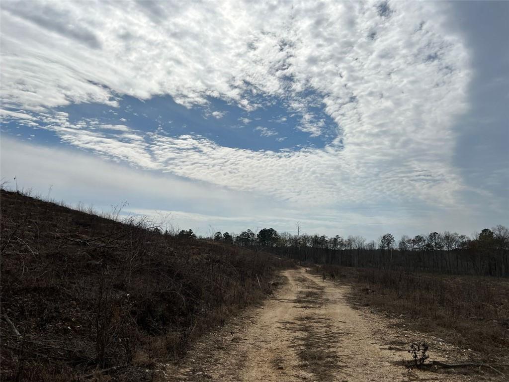 Liner Road, Tallapoosa, Georgia image 31