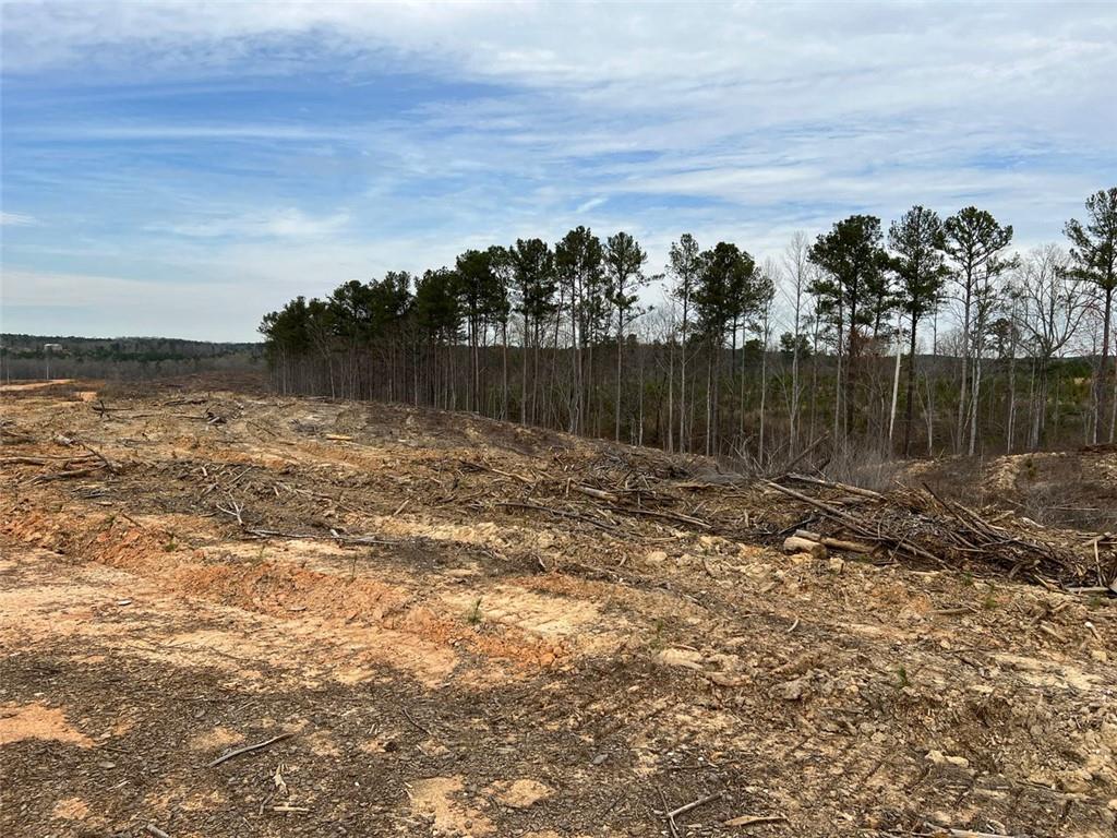 Liner Road, Tallapoosa, Georgia image 11