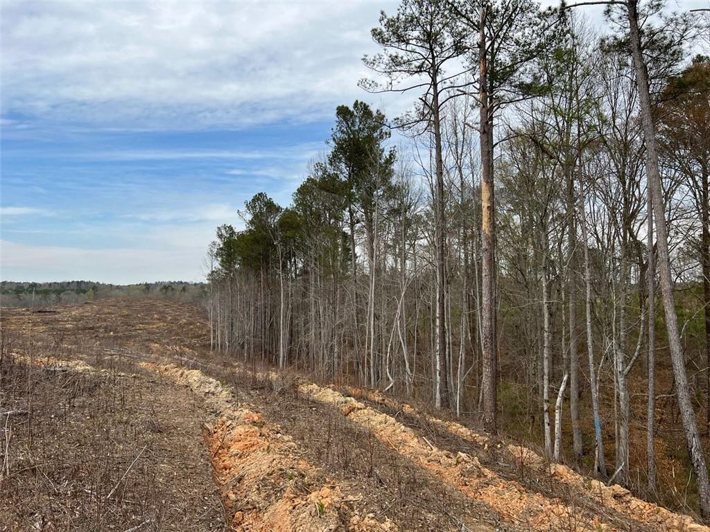 Liner Road, Tallapoosa, Georgia image 14