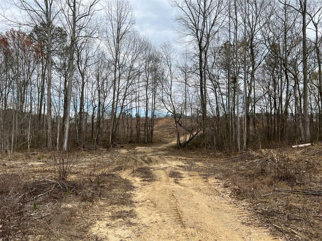 Liner Road, Tallapoosa, Georgia image 19