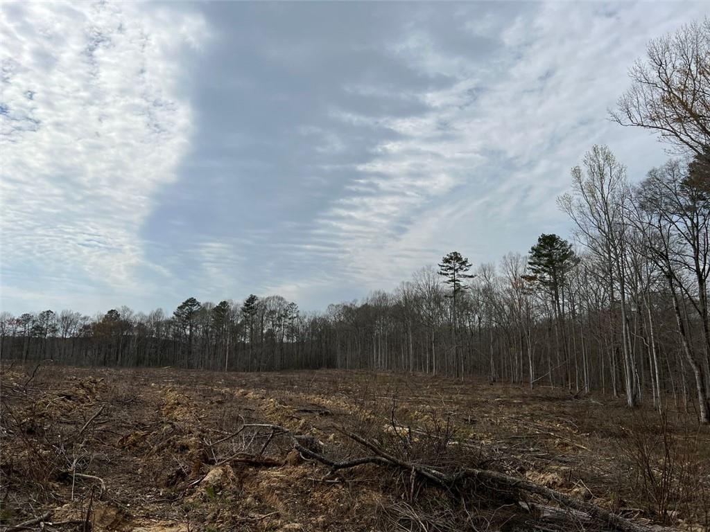 Liner Road, Tallapoosa, Georgia image 29