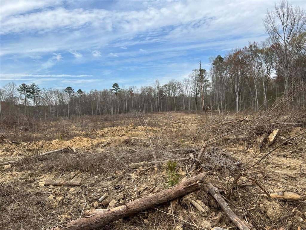 Liner Road, Tallapoosa, Georgia image 18