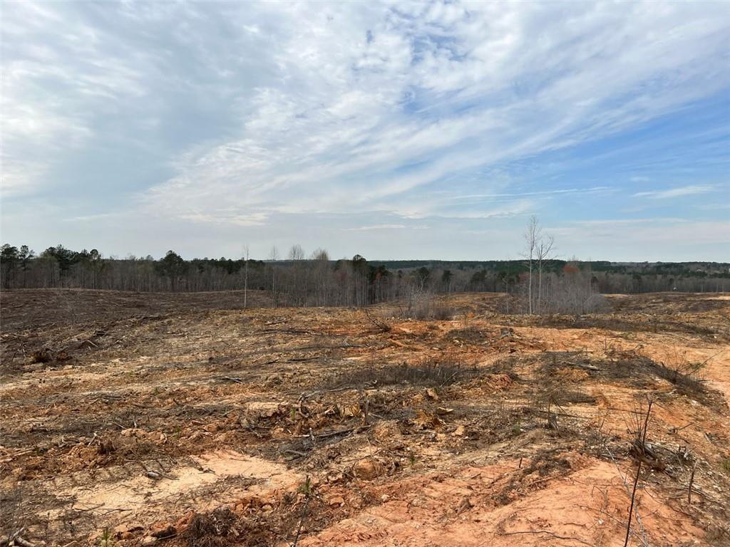 Liner Road, Tallapoosa, Georgia image 9