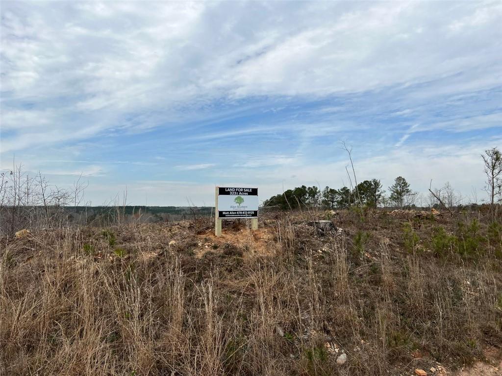 Liner Road, Tallapoosa, Georgia image 8