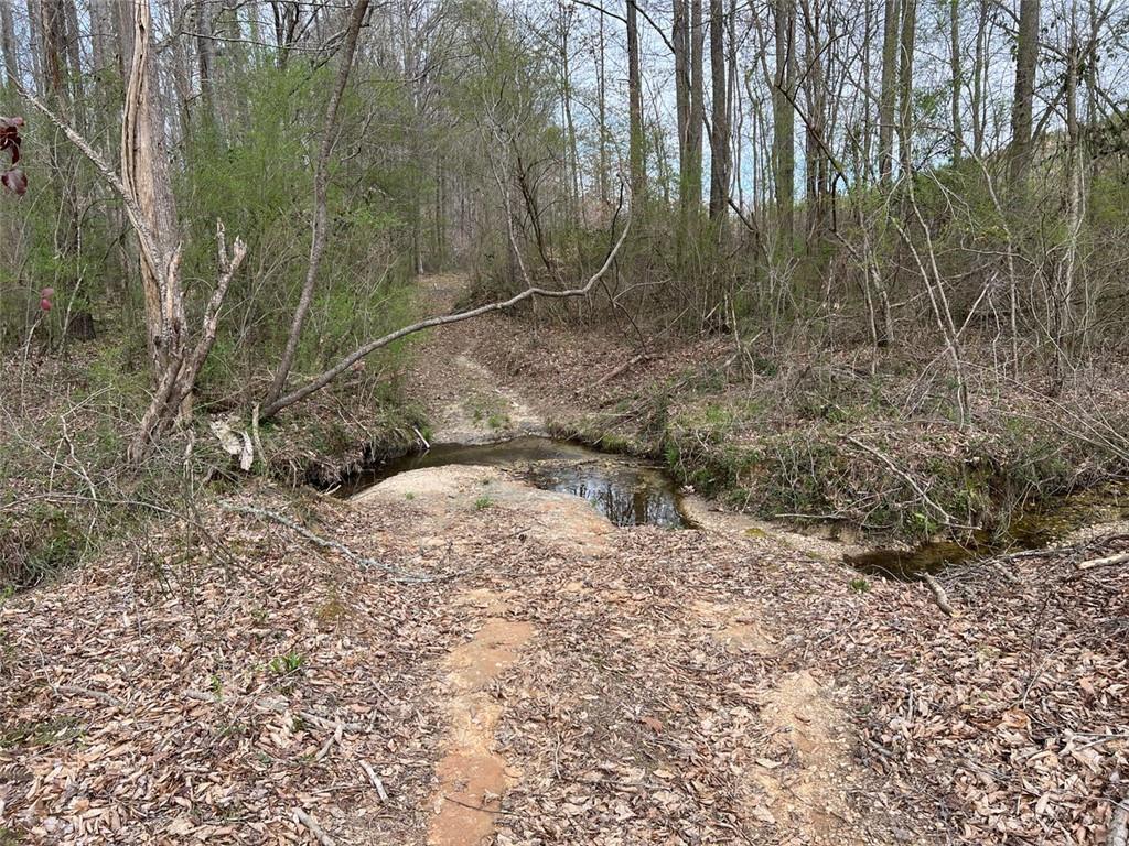 Liner Road, Tallapoosa, Georgia image 24