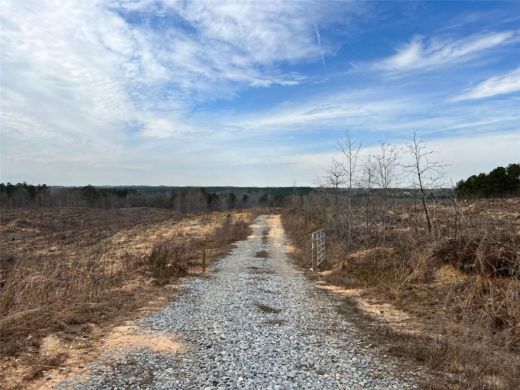 Liner Road, Tallapoosa, Georgia image 7