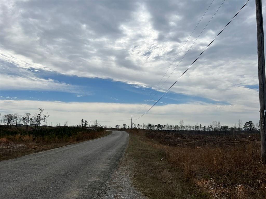 Liner Road, Tallapoosa, Georgia image 6