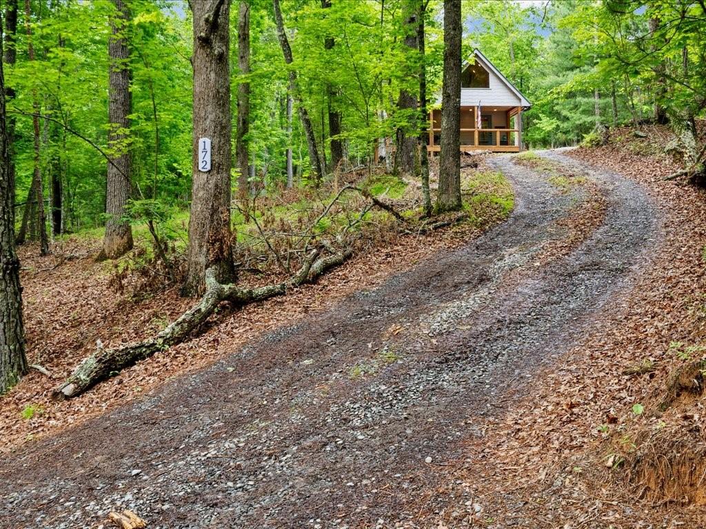 172 Wolf Creek Heights, Mineral Bluff, Georgia image 29