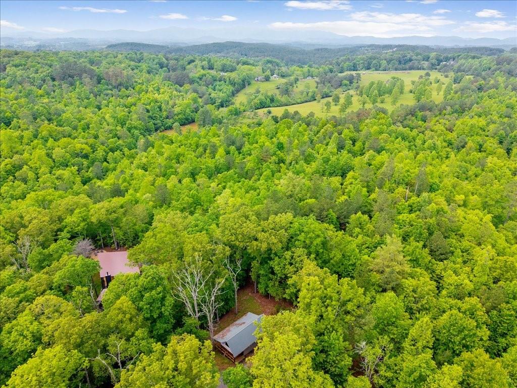 172 Wolf Creek Heights, Mineral Bluff, Georgia image 32