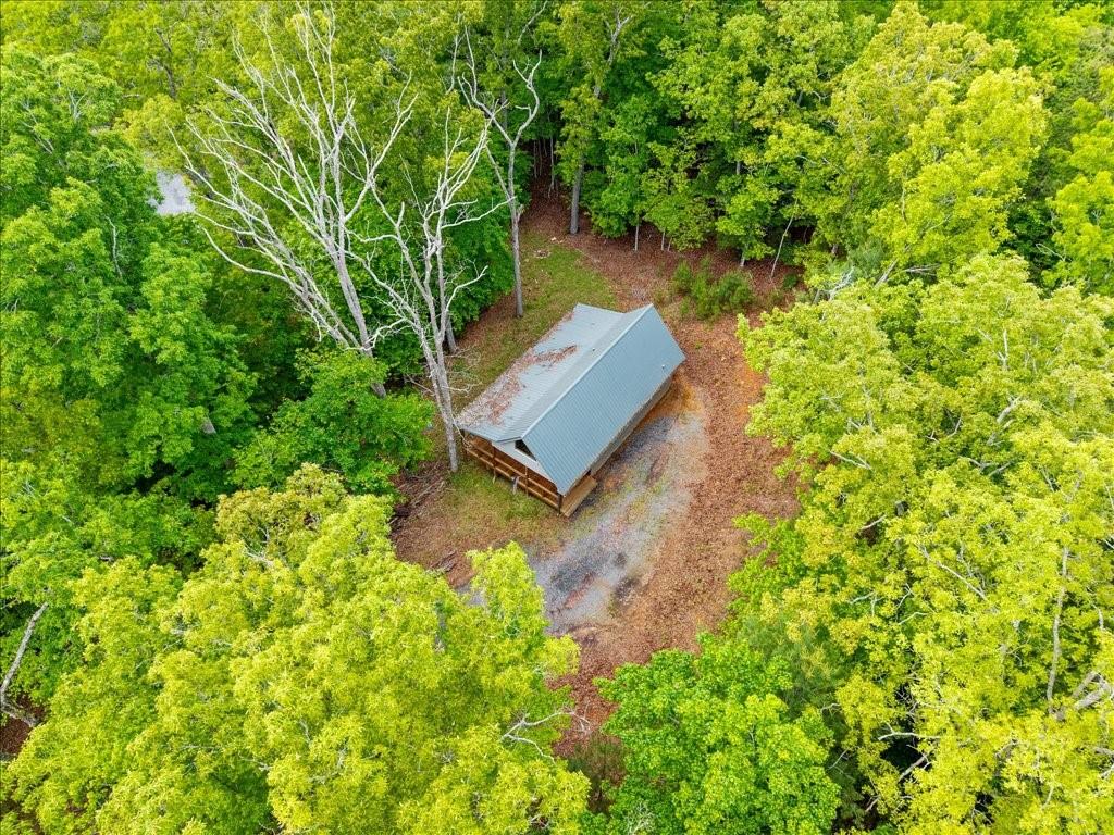 172 Wolf Creek Heights, Mineral Bluff, Georgia image 31