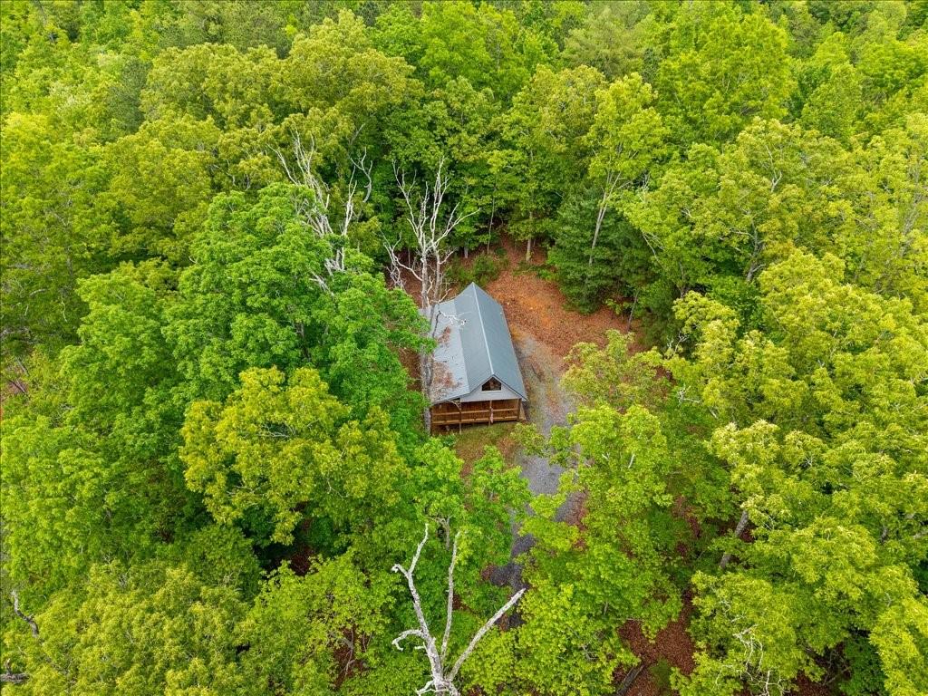 172 Wolf Creek Heights, Mineral Bluff, Georgia image 30