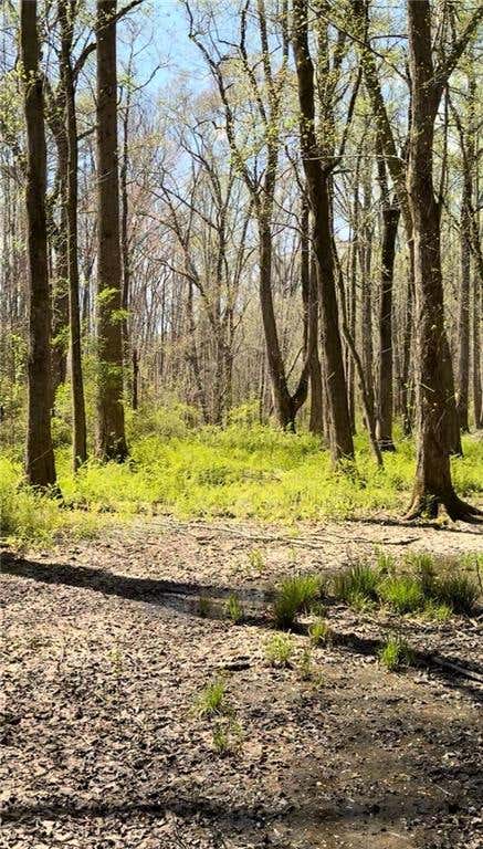 Vacant Land For Sale - Ike Stone<br/> Monroe, GA 30656