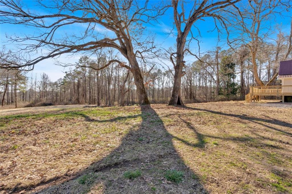 436 Tarpley Avenue, Bowdon, Georgia image 38