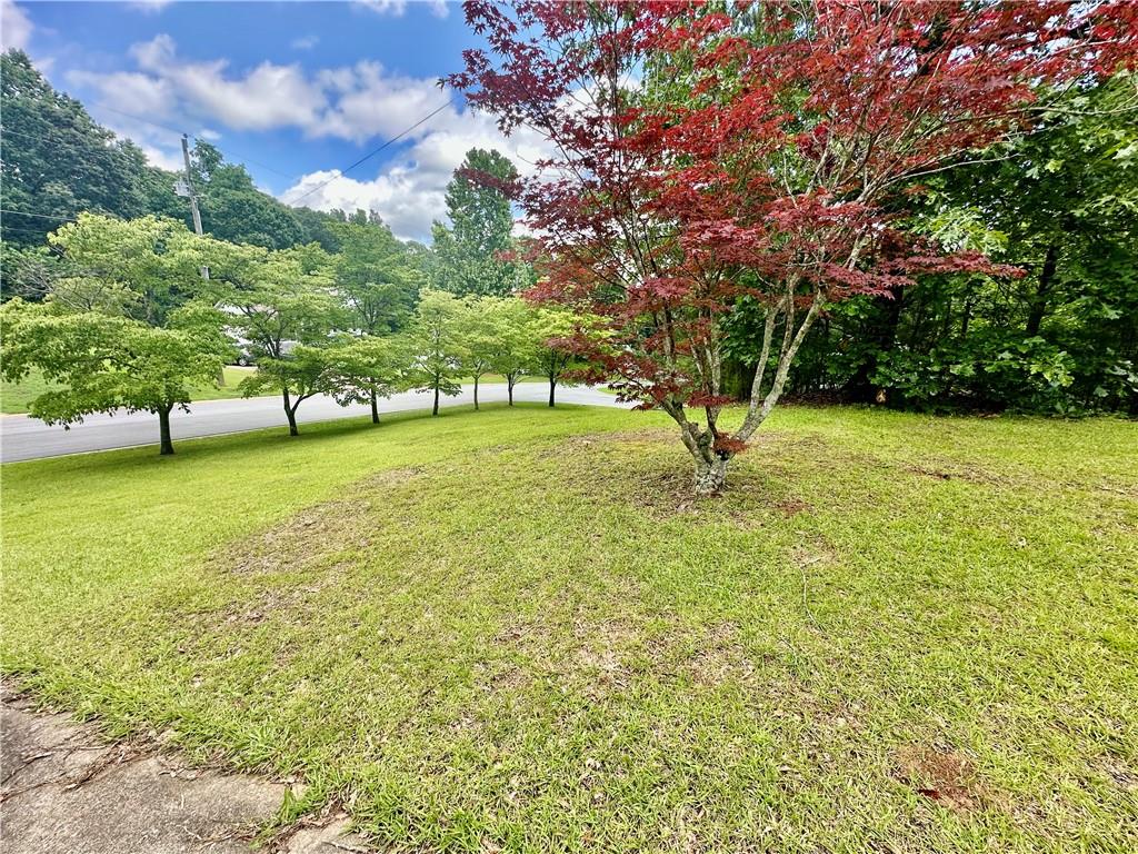 186 Grapevine Drive, Douglasville, Georgia image 24