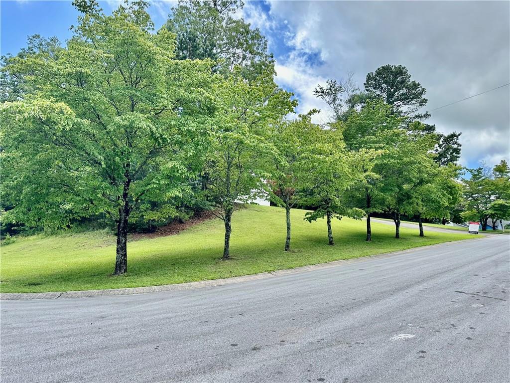 186 Grapevine Drive, Douglasville, Georgia image 23