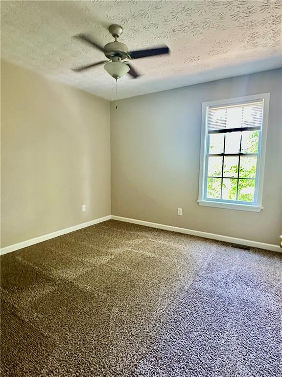 186 Grapevine Drive, Douglasville, Georgia image 12