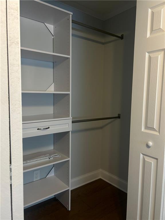 3221 Goldenchain Drive