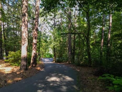 2228 Pleasant Hill Road, Ranger, Georgia image 8