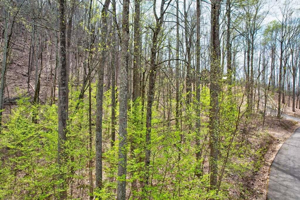12&13 Greystone Trace, Ellijay, Georgia image 16