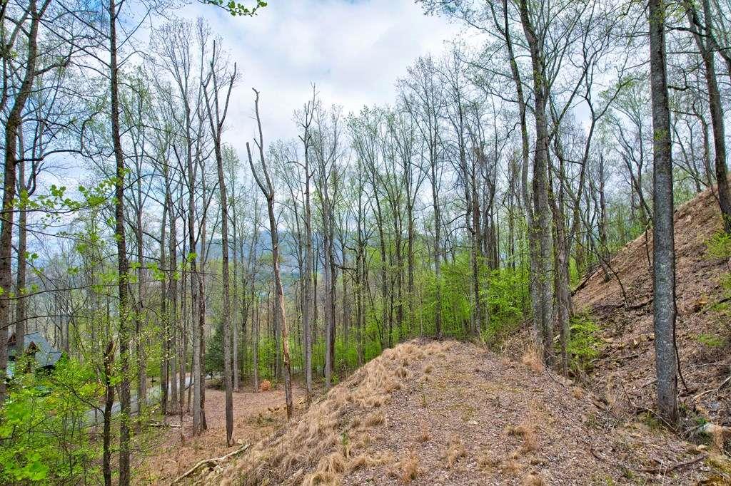 12&13 Greystone Trace, Ellijay, Georgia image 17