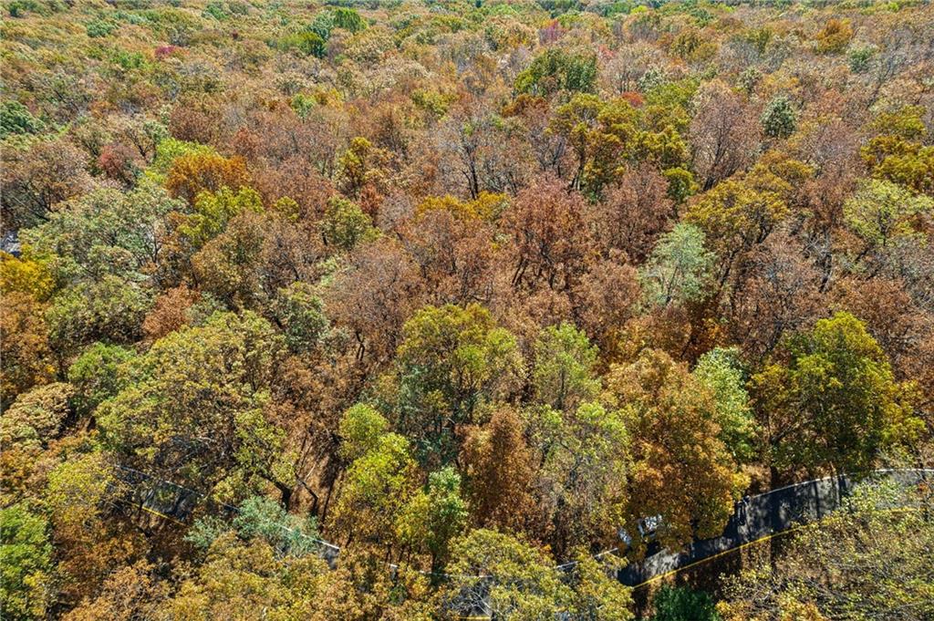 5074 Sanderlin Mountain Drive, Big Canoe, Georgia image 4