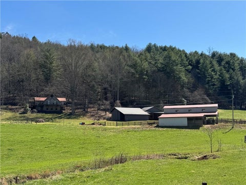 Homes For Sale - 137 Blue Spruce Drive<br/> Blairsville, GA 30512