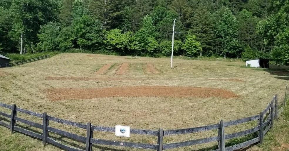 137 Blue Spruce Drive