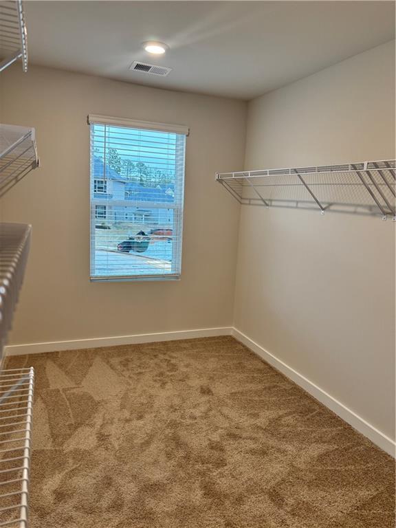 903 Jackson Oak Place Pl, Villa Rica, Georgia image 12