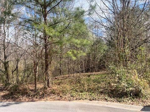 Vacant Land For Sale - 78 Heights Hollow<br/> Acworth, GA 30101
