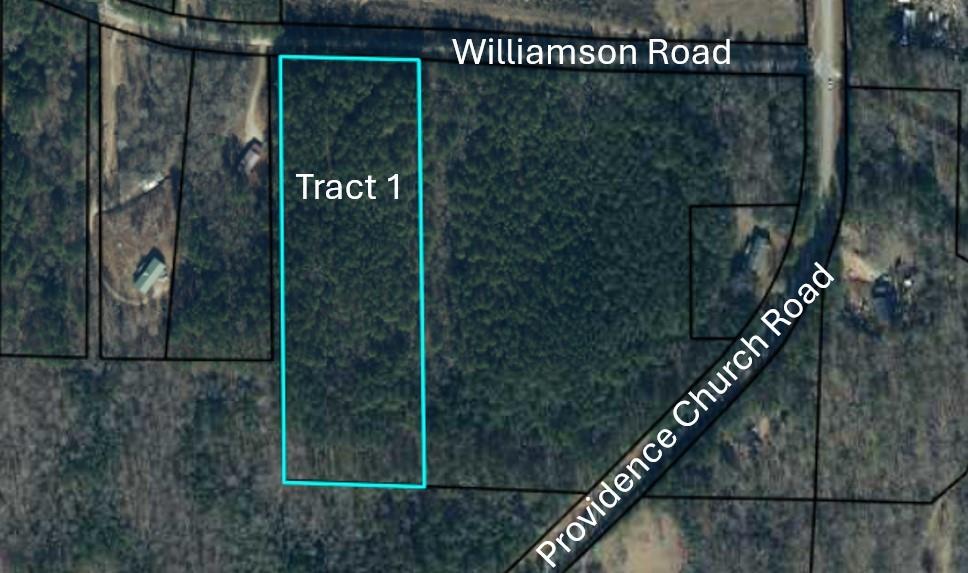 Tr 1 Williamson Road, Tallapoosa, Georgia image 1