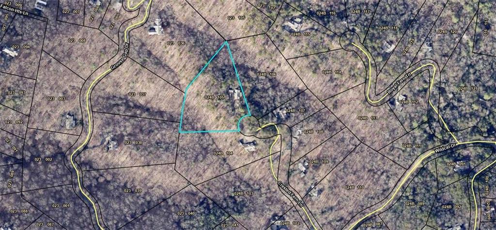 226 Crested Fern Lane, Big Canoe, Georgia image 1