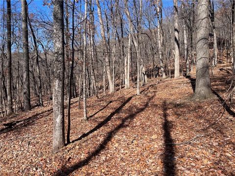 1538 Moss Patch Trail Jasper GA 30143